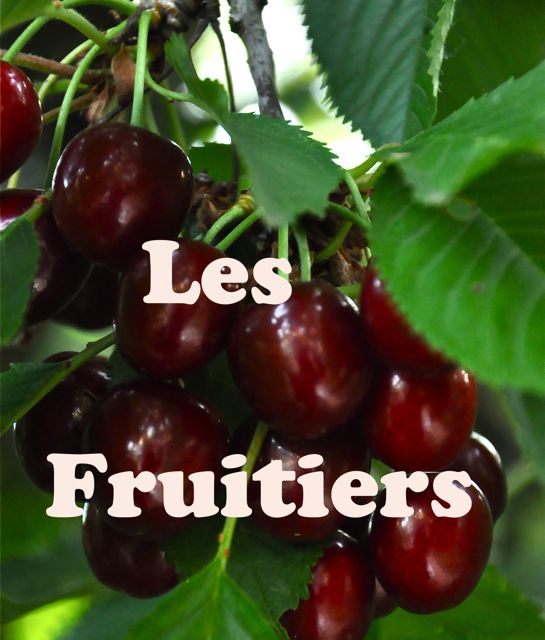 les fruitiers-cerises étiquettes